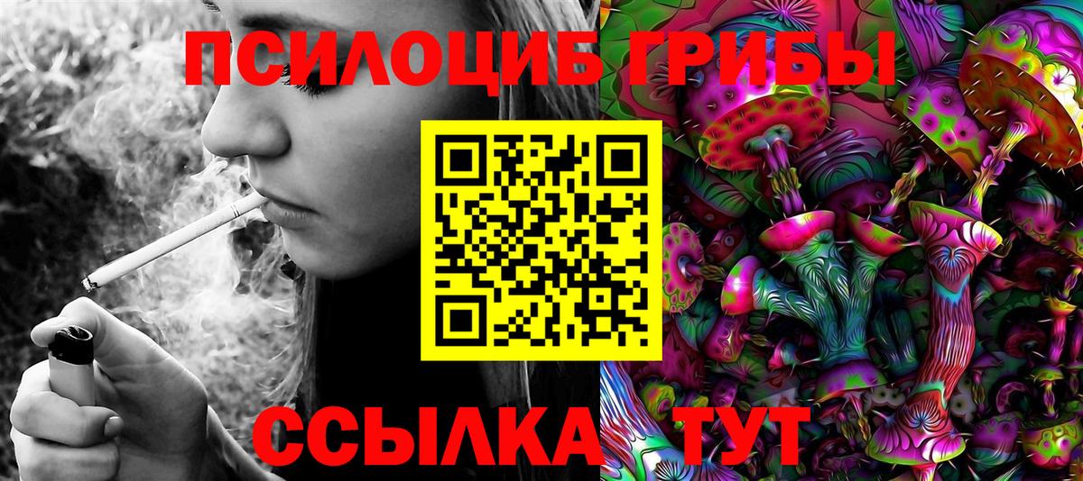 Аргун  Псилоцибиновые грибы ЛСД  Вход с VPN 