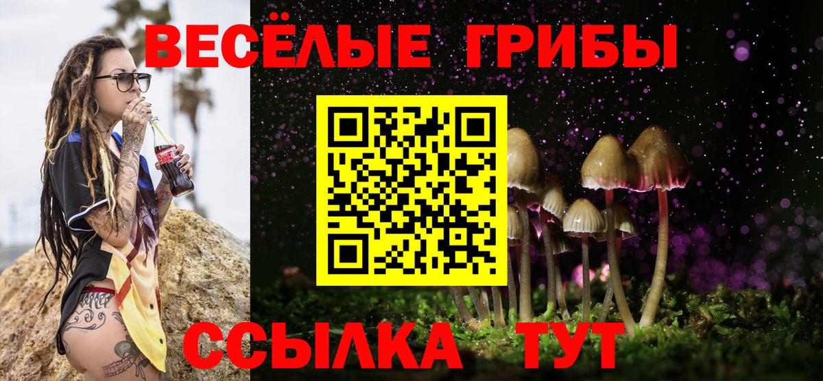 Галлюциногенные грибы мицелий Аргун